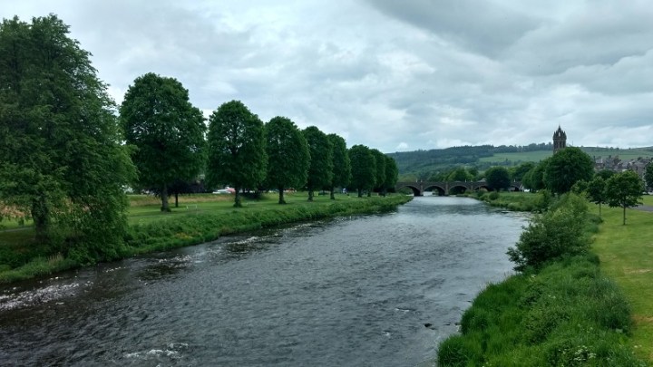 35103666892_641315db41_o-800x600