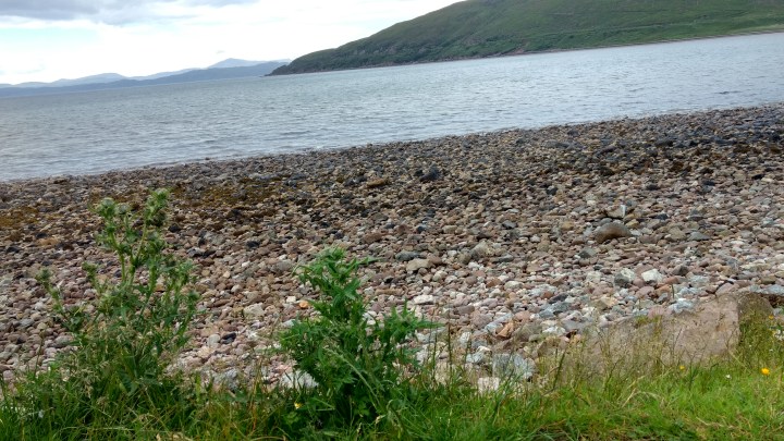 35211247730_6d2d937fbd_o