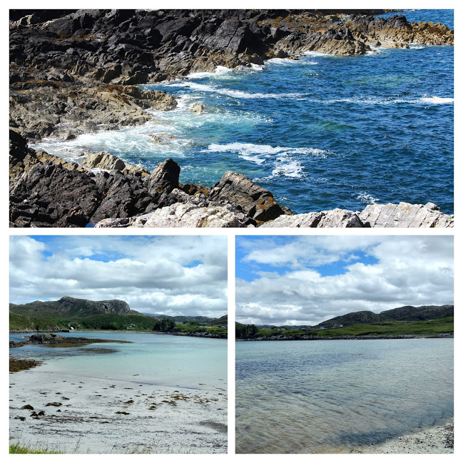 35249957480_31eddb076b_o-COLLAGE