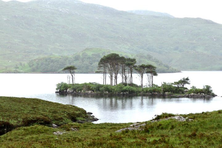 35506282721_582b56628b_o