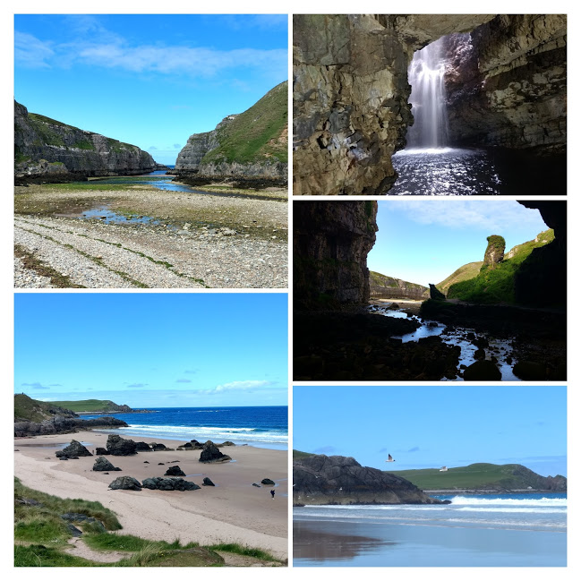 35551163256_626ab5e759_o-COLLAGE (1)