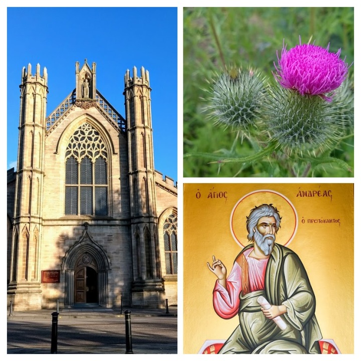 Catedral de Saint Andrew, em Glasgow ; Thistle, a flor símbolo da Escócia; Saint Andrew